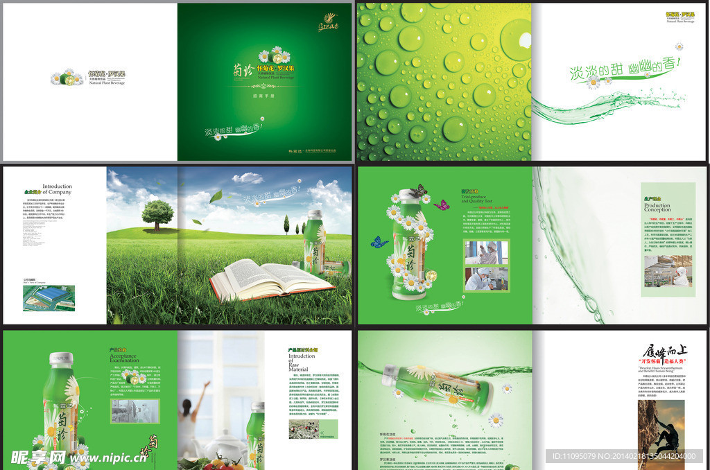 產品畫冊設計 從概念到視覺呈現的全面解析