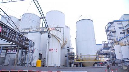 泰州口岸上半年大豆進口量領跑全省，糧油倉儲服務持續優化